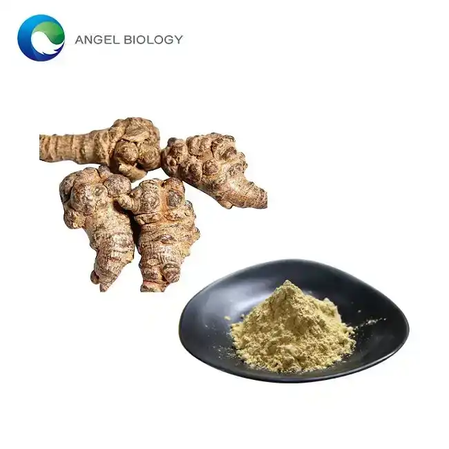 Key Bioactive Compounds in Notoginseng Root Powder Explained